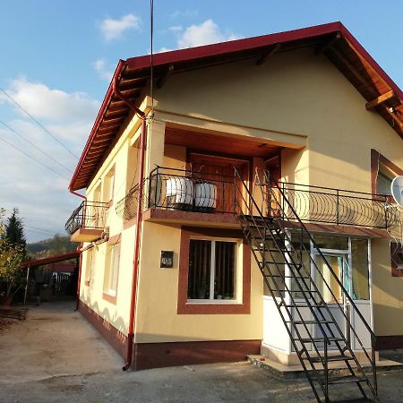 Casa Lidia Si Gogu Hotel Budeasa Mare Exterior photo